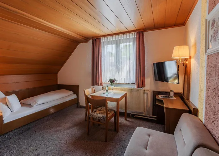 Landgasthof Zur Linde 3* Heimbuchenthal
