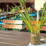 Herberg Landgasthof Zur Linde 3*